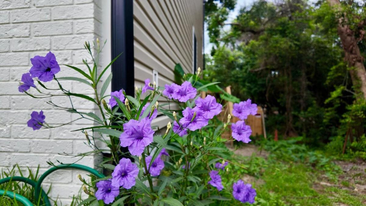 Cozy Townhome Retreat With King Bed Near I-10, Capitol, Fsu & Famu Tallahassee Extérieur photo
